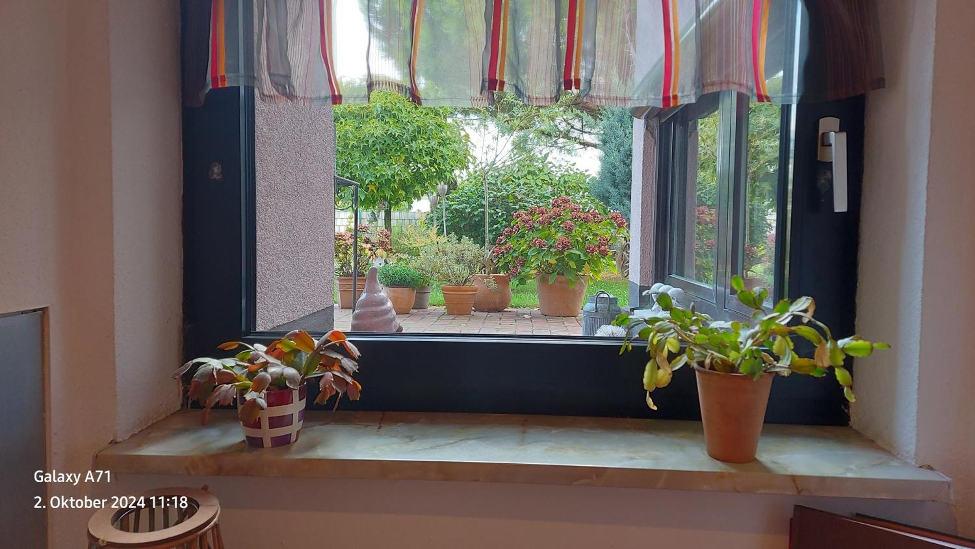 Ferienwohnung Zum Weinberg Grosskarlbach Buitenkant foto